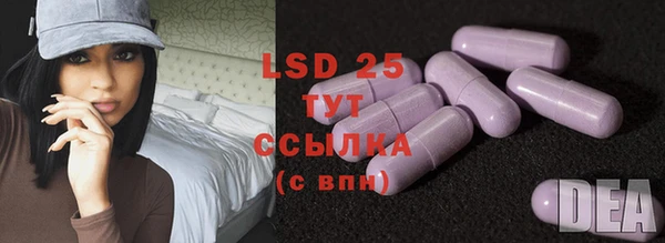 стафф Кодинск