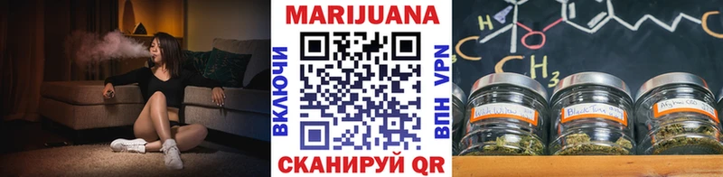 Каннабис семена  блэк спрут   Медвежьегорск  наркошоп 